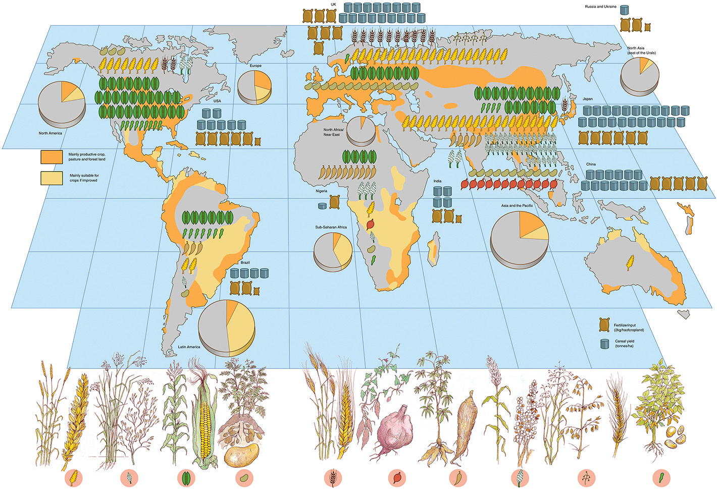 What Is Another Word For Cropland